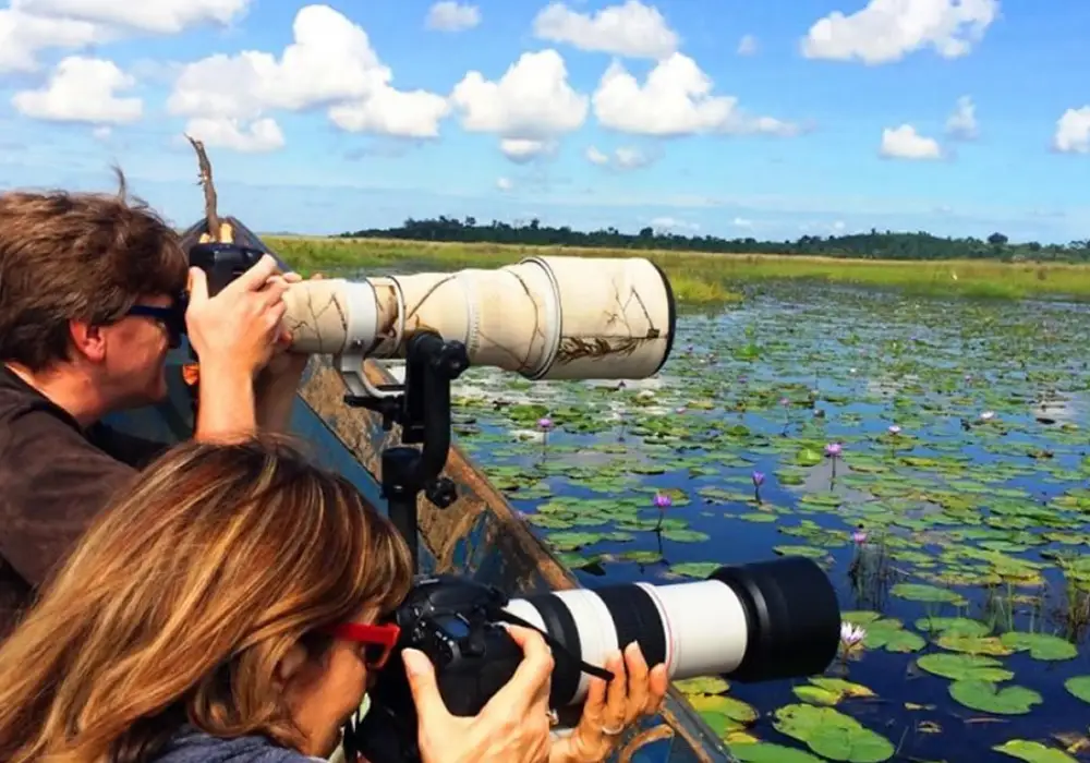 Photography Safari