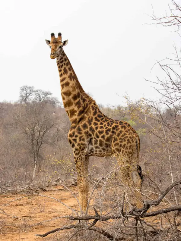 South Africa Destinations