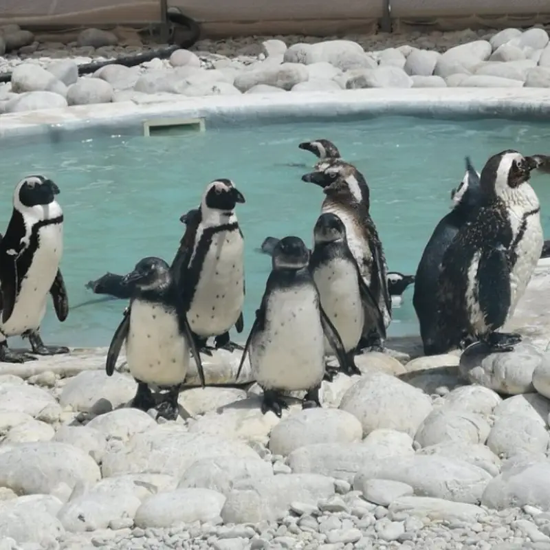 South Africa Destinations