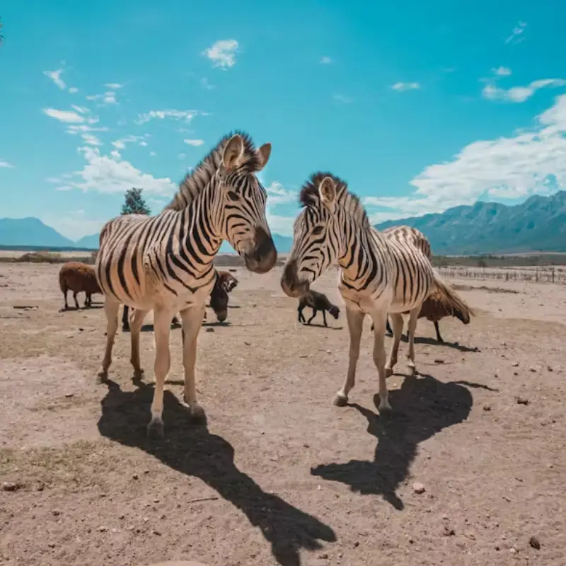 South Africa Destinations