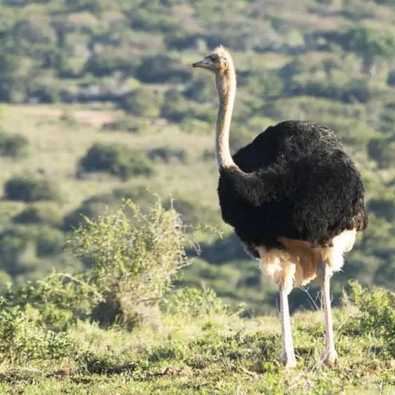 South Africa Destinations