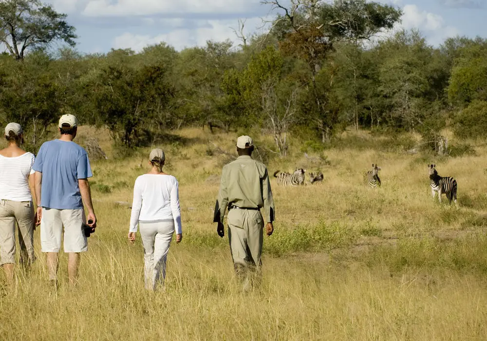 Walking Safari