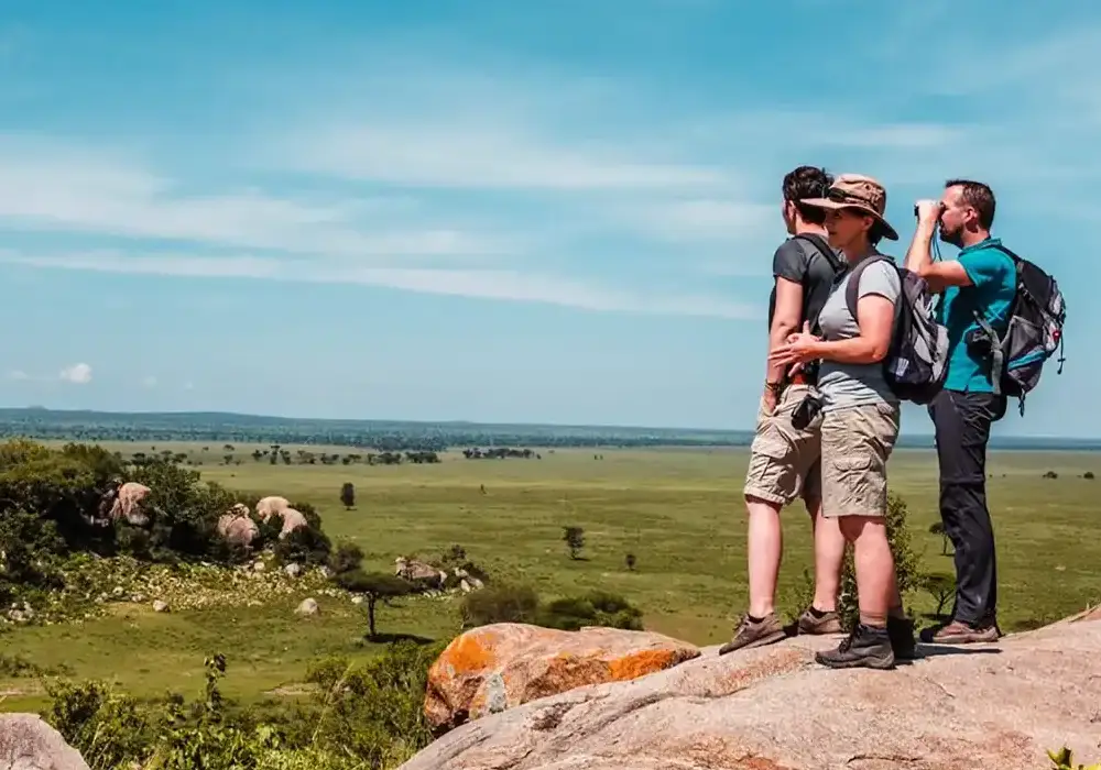 Walking Safari