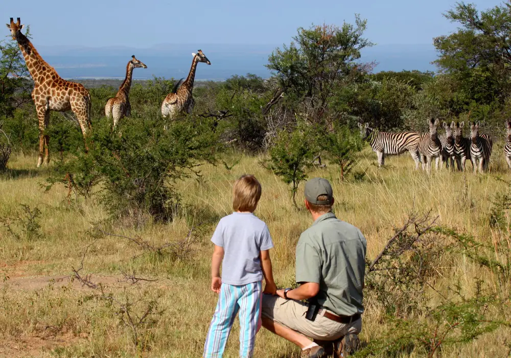 Walking Safari