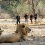 Zambia Destinations