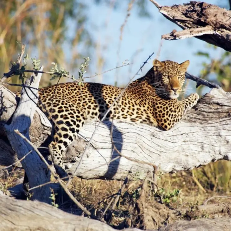 Zambia Destinations