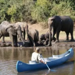 Zambia Destinations