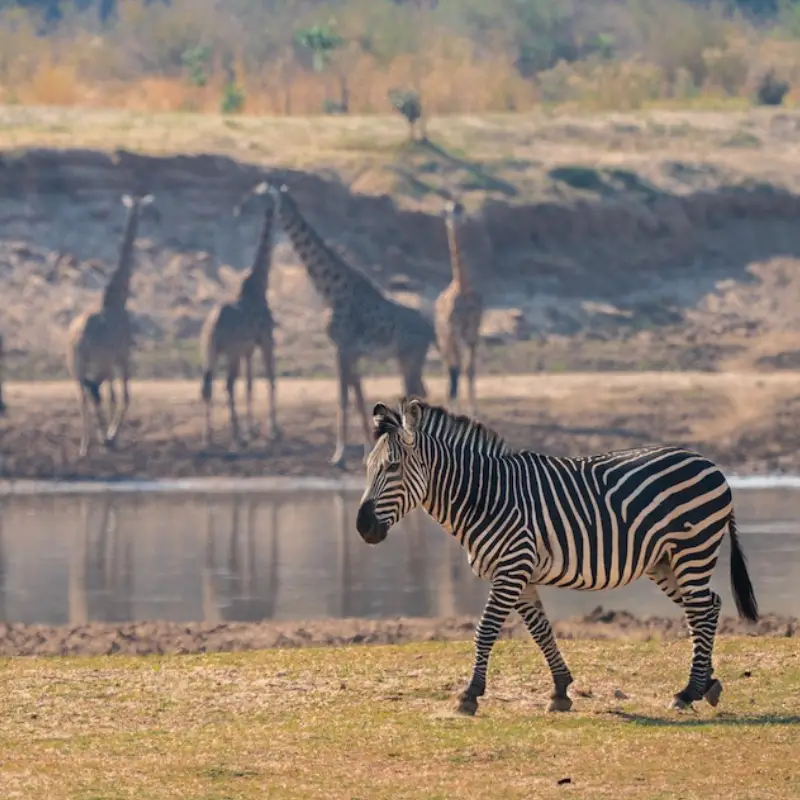 Zambia Destinations
