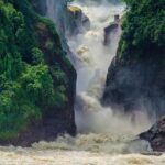 Best Time to Visit Uganda