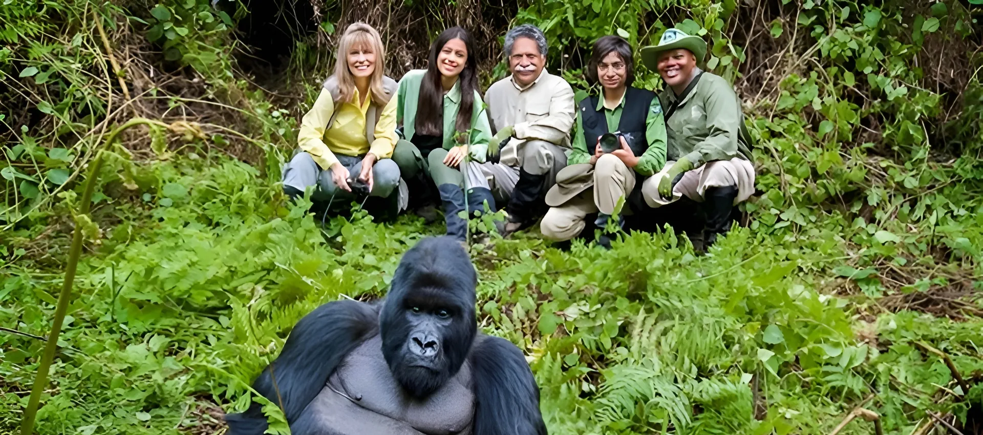 2025 Uganda Safari Guide: Best Parks, Seasons & Travel Tips