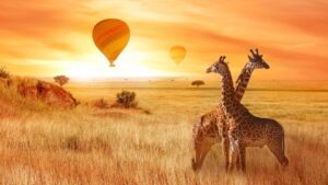 A bird’s Eye View:Why a balloon safari should be on your bucket list