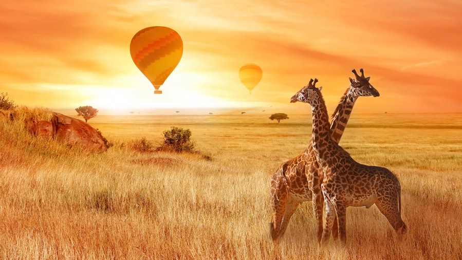 A bird’s Eye View:Why a balloon safari should be on your bucket list