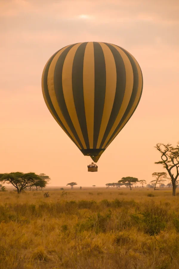 Masai Mara National Reserve Attractions