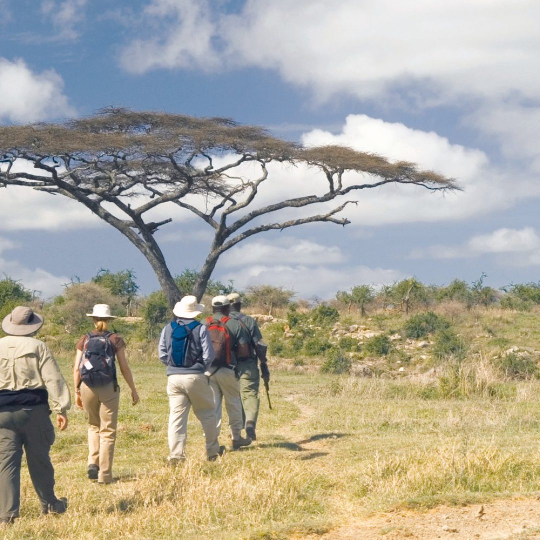 Tanzania Travel Guide