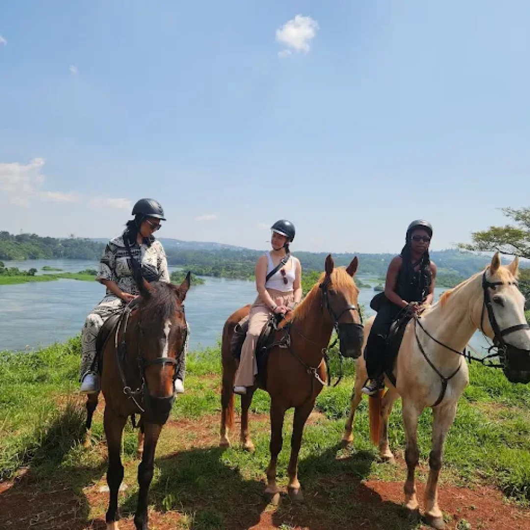 Uganda Safaris