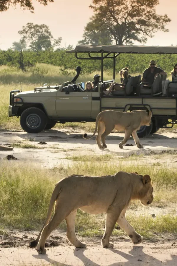 Game Drives
