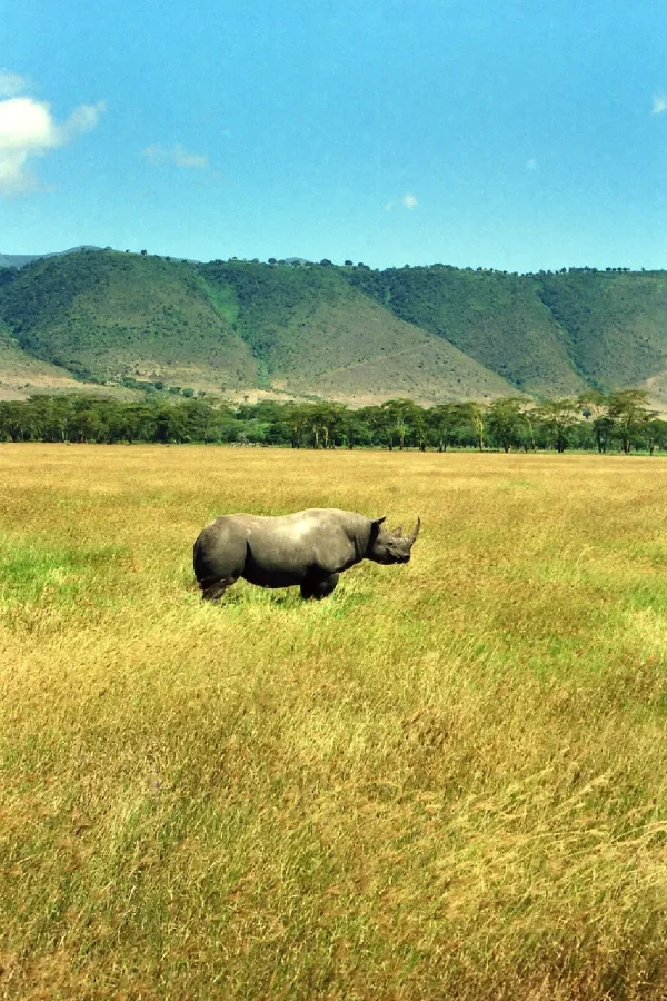 Ngorongoro Crater Attractions