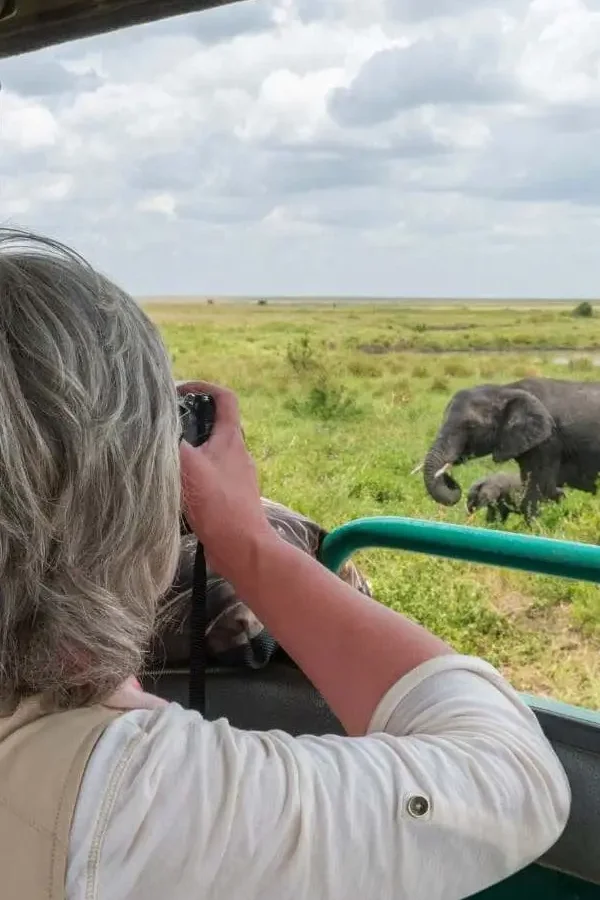 Photography Safari