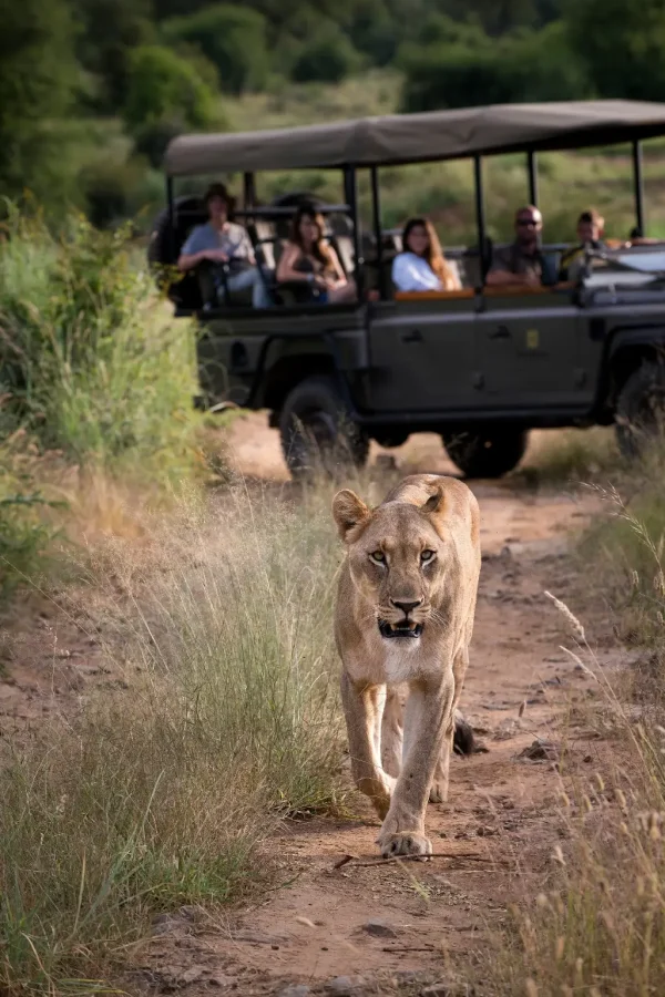 Tarangire National Park Attractions