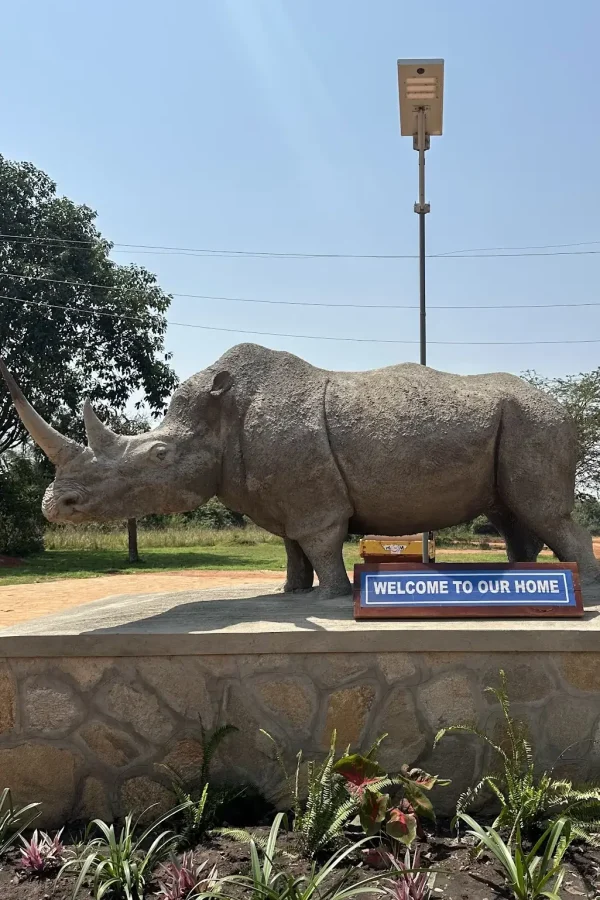 Ziwa Rhino Sanctuary Attraction